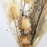 Dried Flowers - Modern Thistle