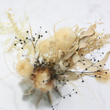 Dried Flowers - Modern Thistle