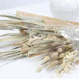 Dried Flowers -Neutral Palm