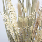 Dried Flowers -Neutral Palm