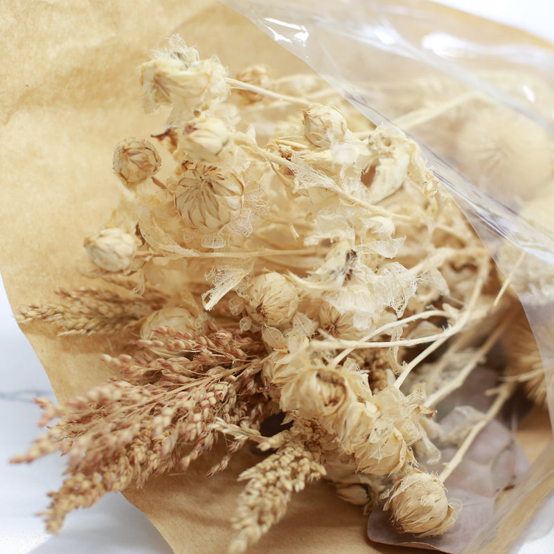 Dried Flowers -Neutral Thistle
