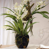 Deluxe Wild Rooted Faux Orchid in Cream