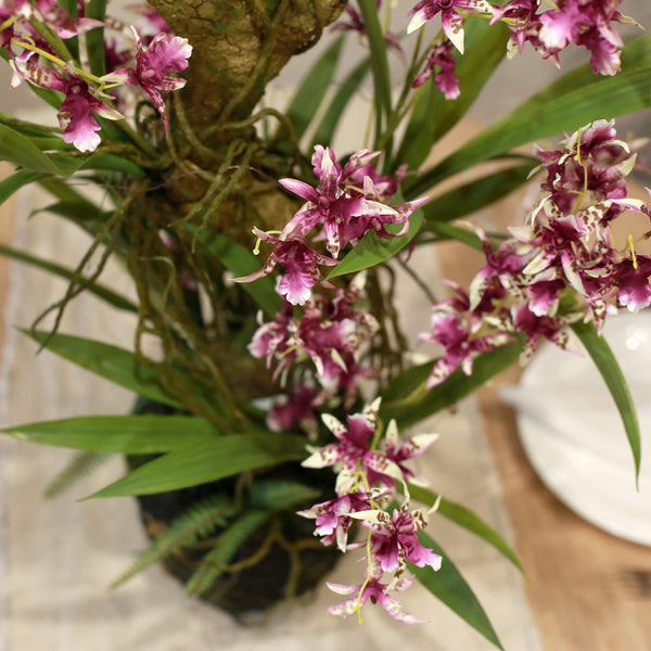 Deluxe Wild Rooted Faux Orchid in Purple