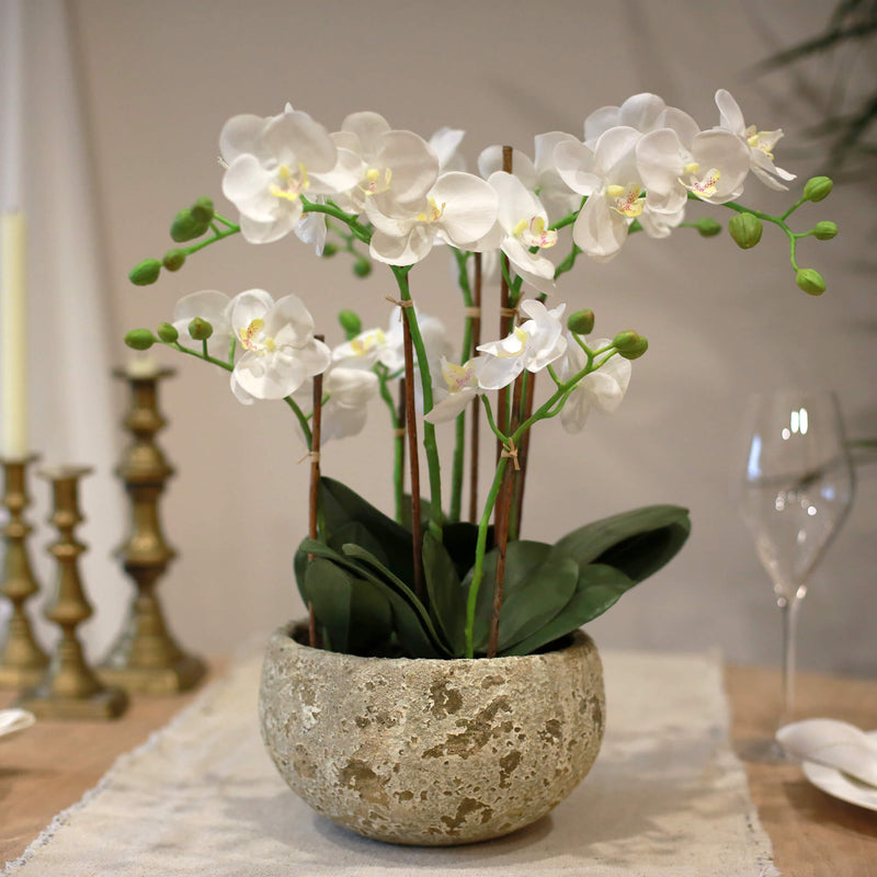 faux orchid plant in pot Potted Faux Orchid