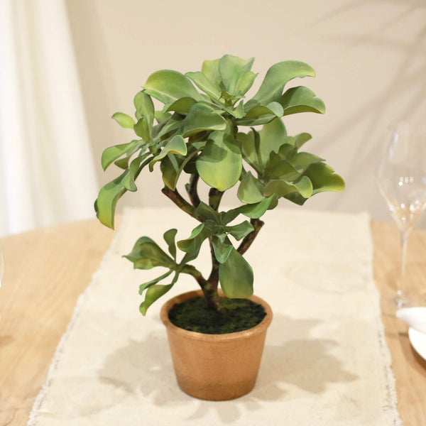 Potted Faux Succulent Tree – The Aviary Floral