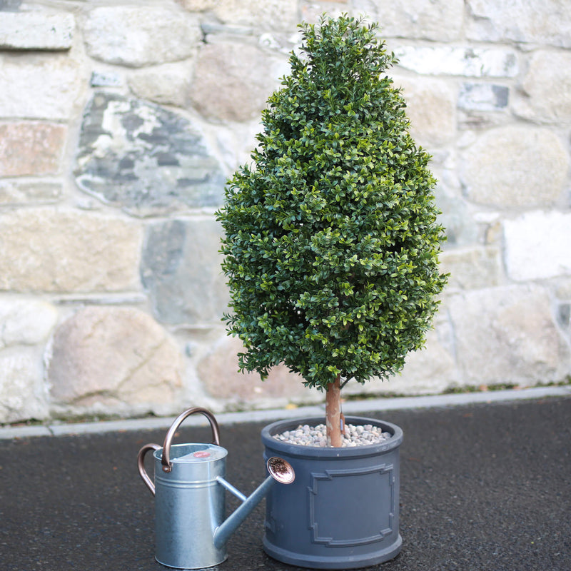 110cm Buxus Tower